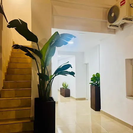 El Olivar De Sol Appartement